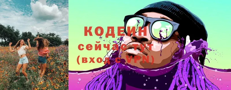 как найти наркотики  Камешково  Кодеиновый сироп Lean Purple Drank 